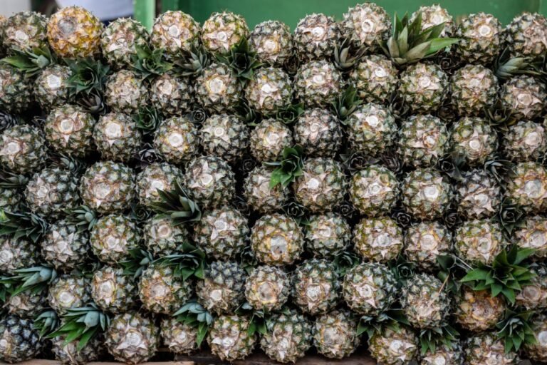 Source tropical fruits