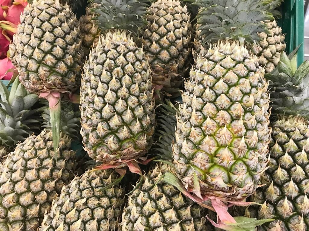 Fresh Pineapple Supplier Indonesia